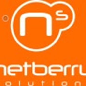 Netberry Solutions