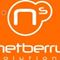 Netberry Solutions